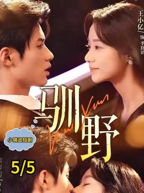 猎罪档案单元悬疑剧在线观看